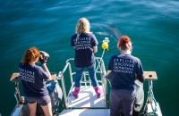 White Shark Research and Internship Start