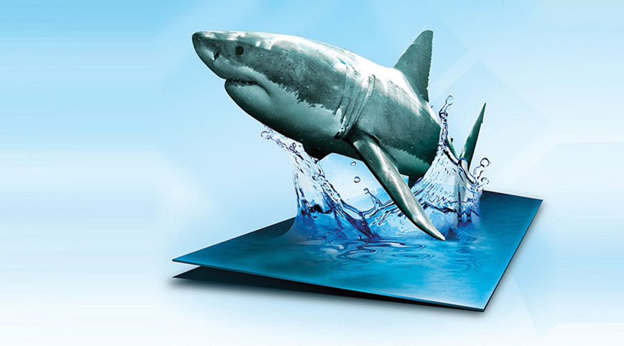 Welcome to the New Oceans Research Website, latest update from Oceans Research Welcome to the New Oceans Research Website