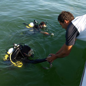 Photo Gallery, Oceans Research media, appearances and credits Photo Gallery