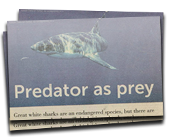 Predator as prey