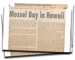 Mossel Bay in Hawaii