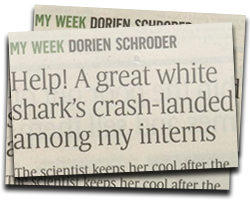 Help! A great white shark's crash-landed among my interns