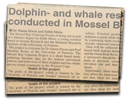 Dolphin- and whale research conducted in Mossel Bay