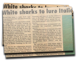 White sharks to lure Italians to Mossel Bay