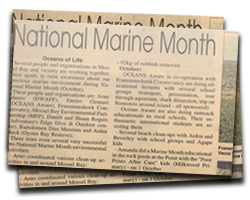 National Marine Month