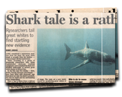 Shark tale, a rather shallow story