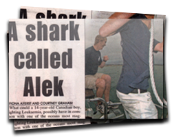 A Shark Called Alek