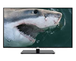 Ultimate Shark