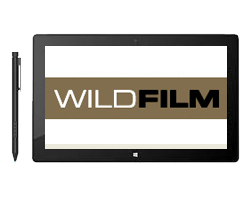 Wild Films : Sharkville