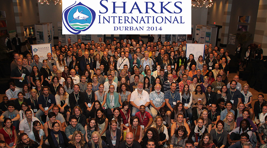 Sharks International- Durban 2-6 June 2014, latest update from Oceans Research Sharks International- Durban 2-6 June 2014