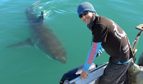Interview: Dr. Ryan Kempster (University of Western Australia), latest update from Oceans Research Interview: Dr. Ryan Kempster (University of Western Australia)