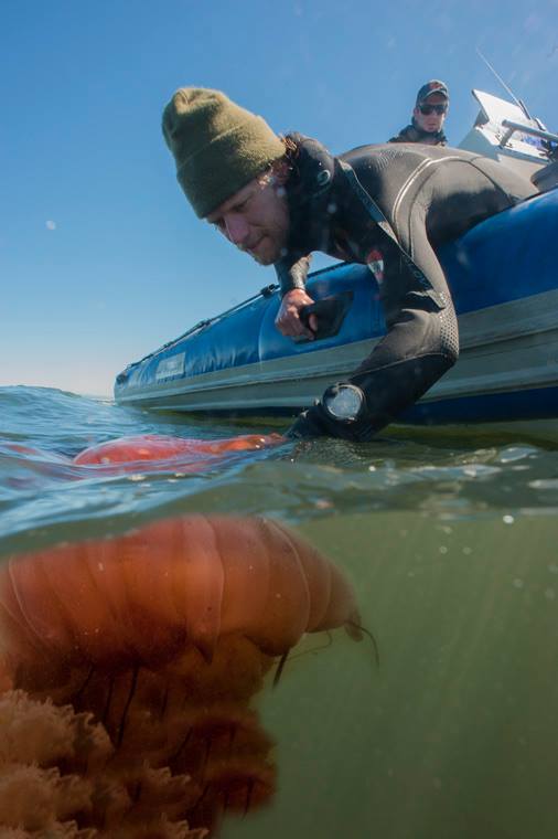 Interview: Andy Hinrichs, Senior Aquarist at Omaha Zoo & Aquarium, latest update from Oceans Research Interview: Andy Hinrichs, Senior Aquarist at Omaha Zoo & Aquarium