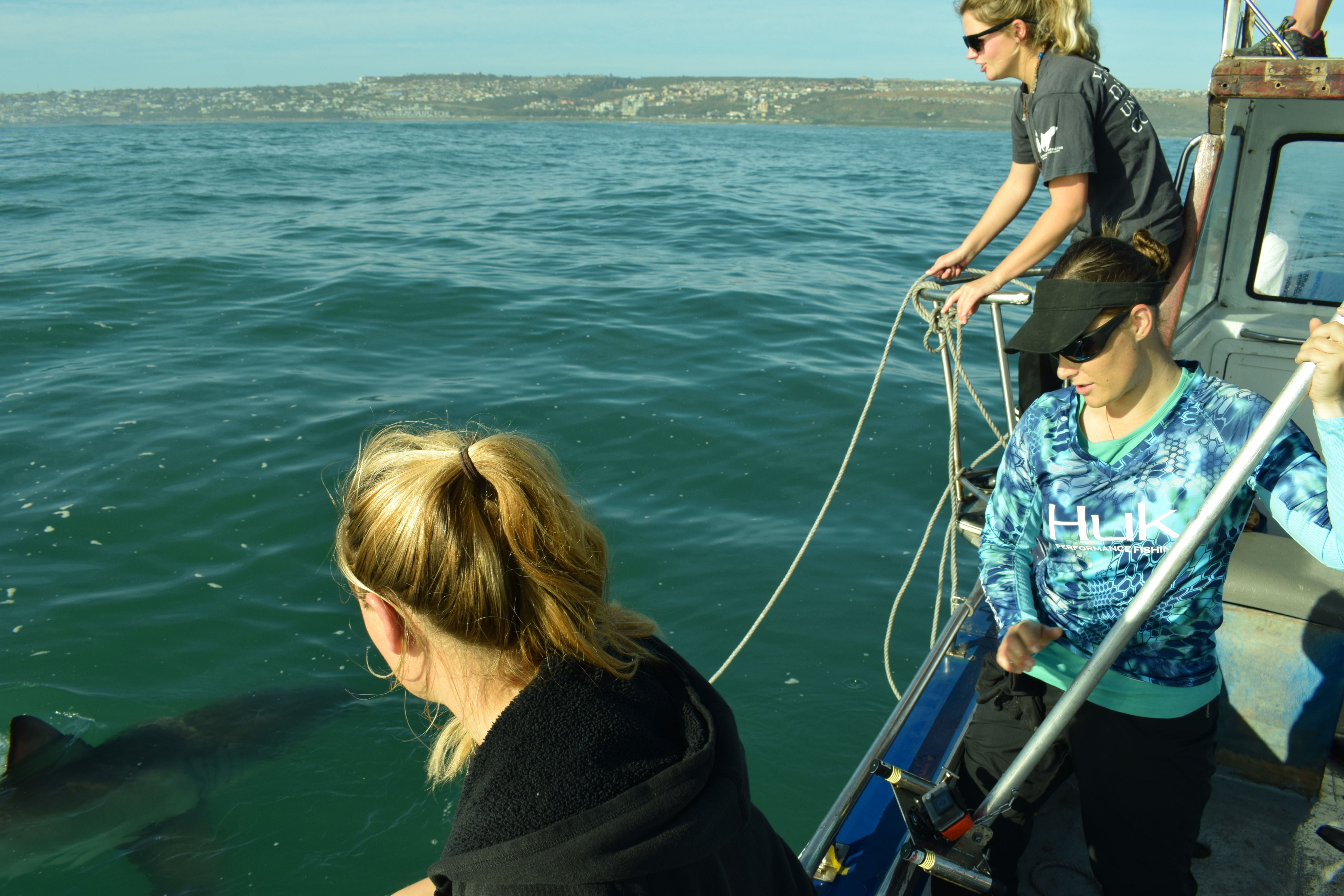 Our interview with Nelson Mandela University Marine Conservation Student, Erin Slattery