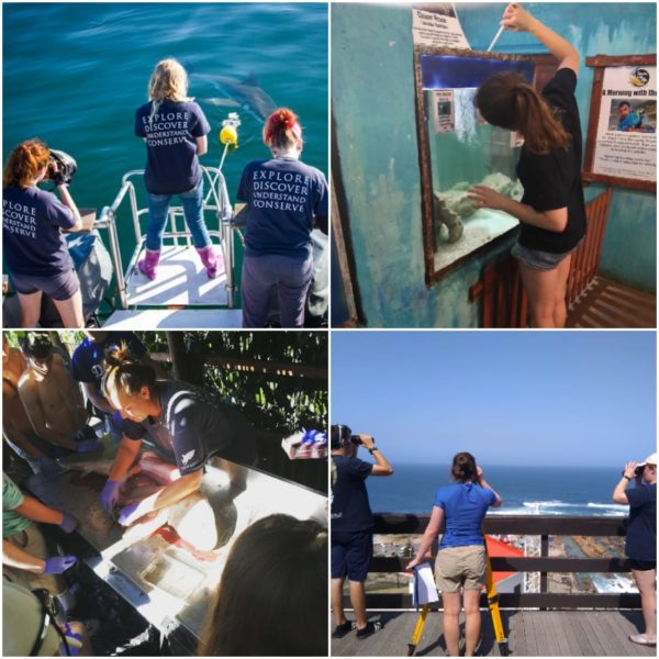Expansion of the research internship