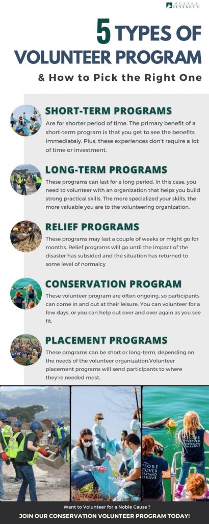 5 Types of Volunteer Programs