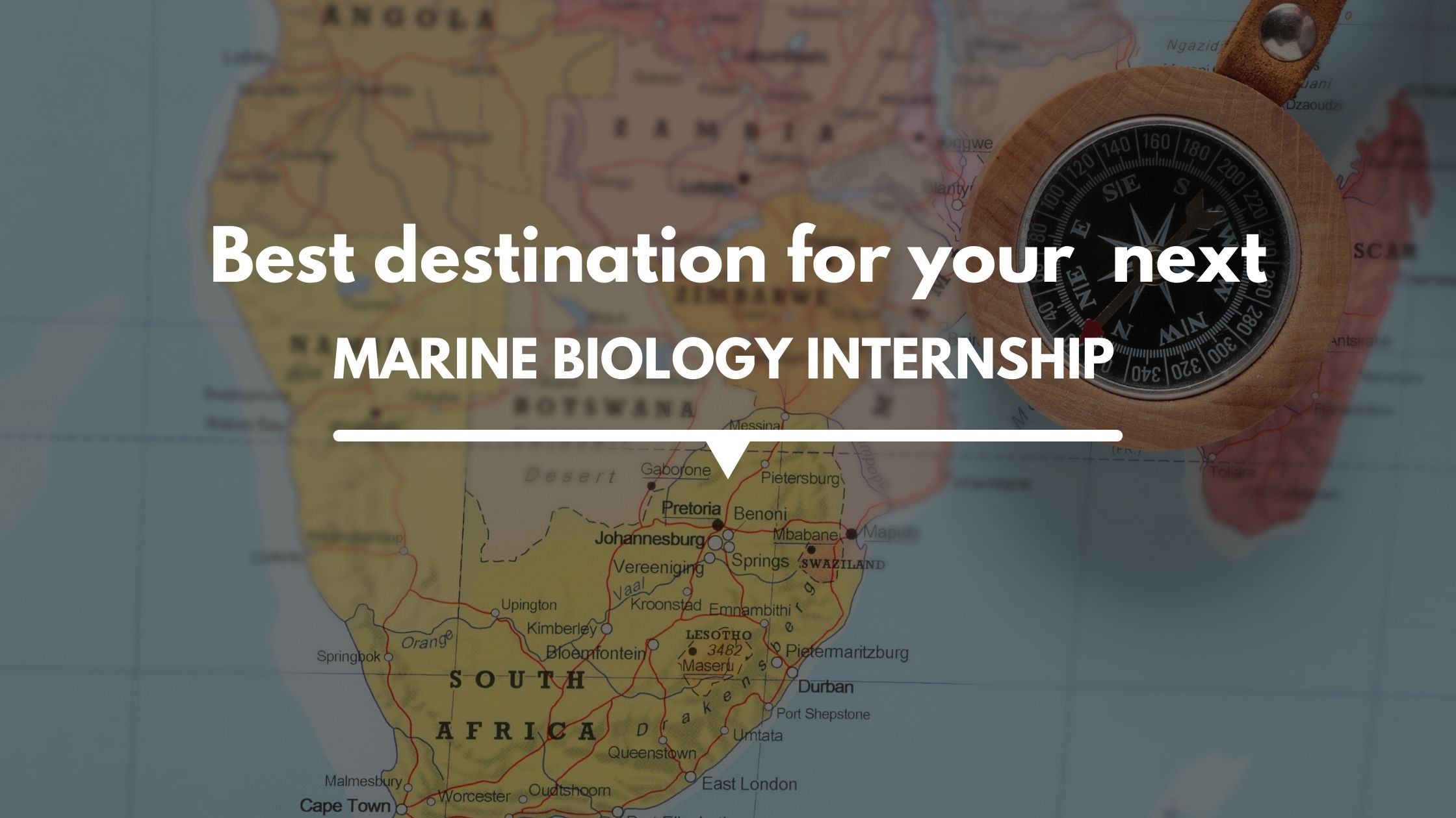 Why SOUTH AFRICA Should Be Your Next Destination For a Marine Biology Internship?