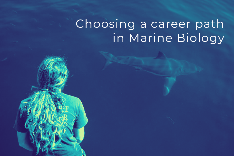 Choosing a Path in Marine Biology