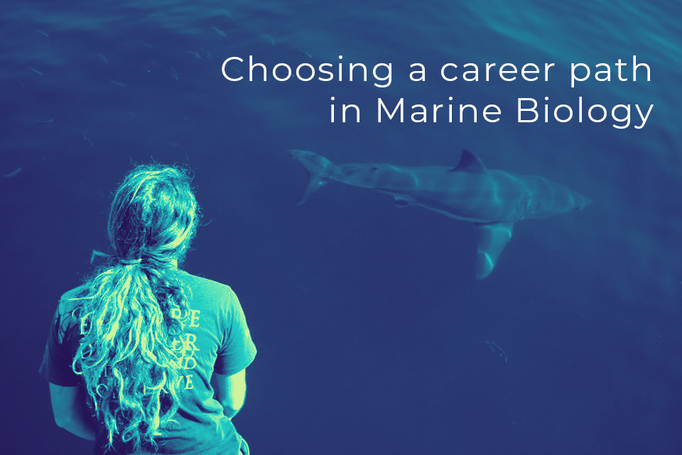 Choosing a Path in Marine Biology, latest update from Oceans Research Choosing a Path in Marine Biology