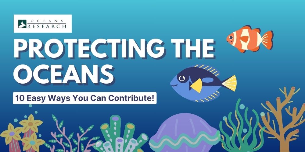 Protecting the Oceans: 10 Easy Ways You Can Contribute, latest update from Oceans Research Protecting the Oceans: 10 Easy Ways You Can Contribute