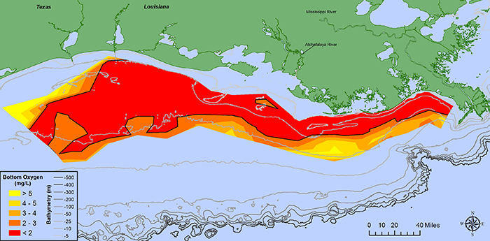 Gulf of Mexico dead zone in July 2017At 8,776 square miles, this year's dead zone in the Gulf of Mexico is the largest ever measured. (Courtesy of N. Rabalais, LSULUMCON)